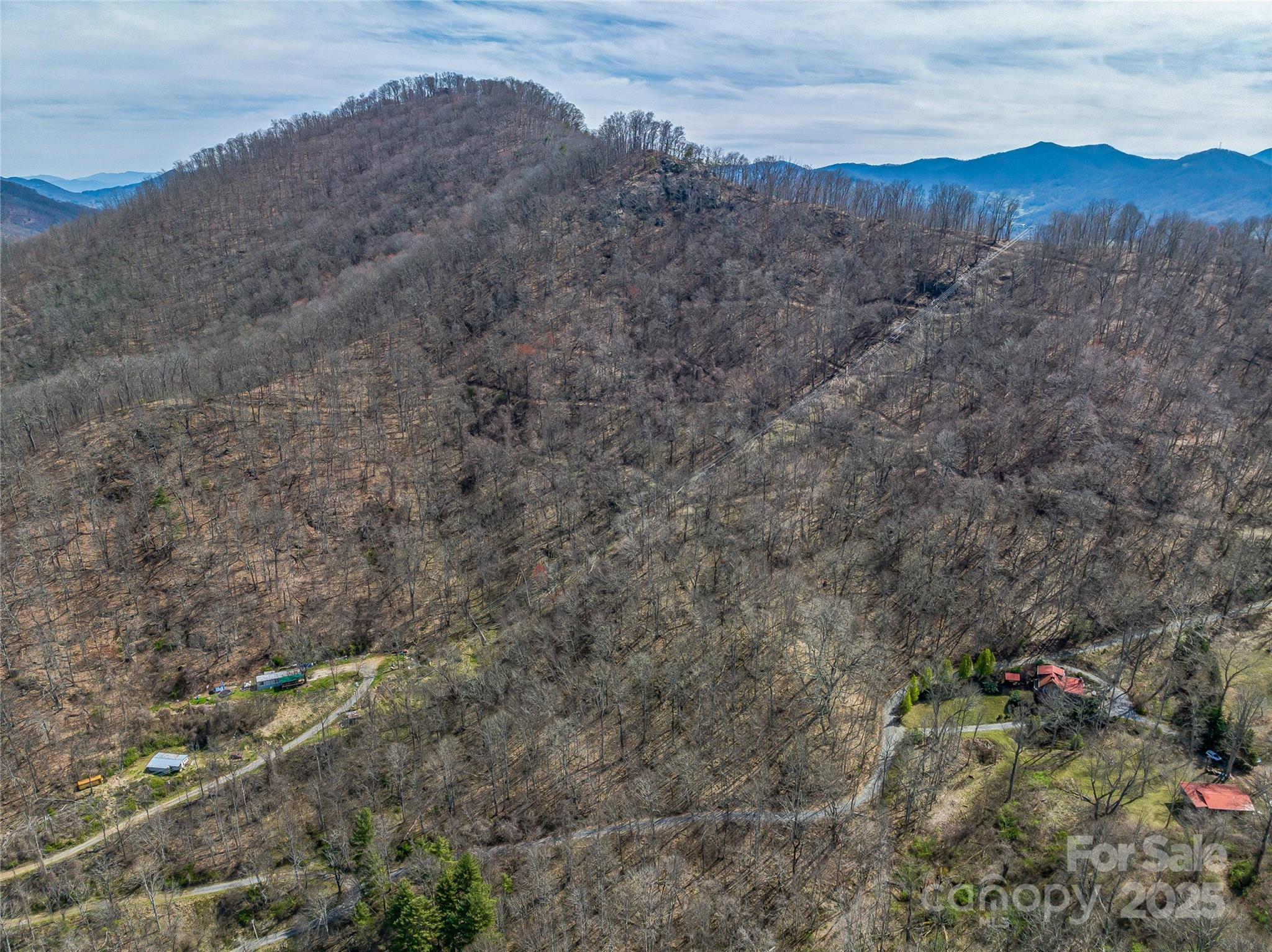 999 Cracker Trail Clyde, NC 28721 - Photo 19 of 23 a view of a dry field