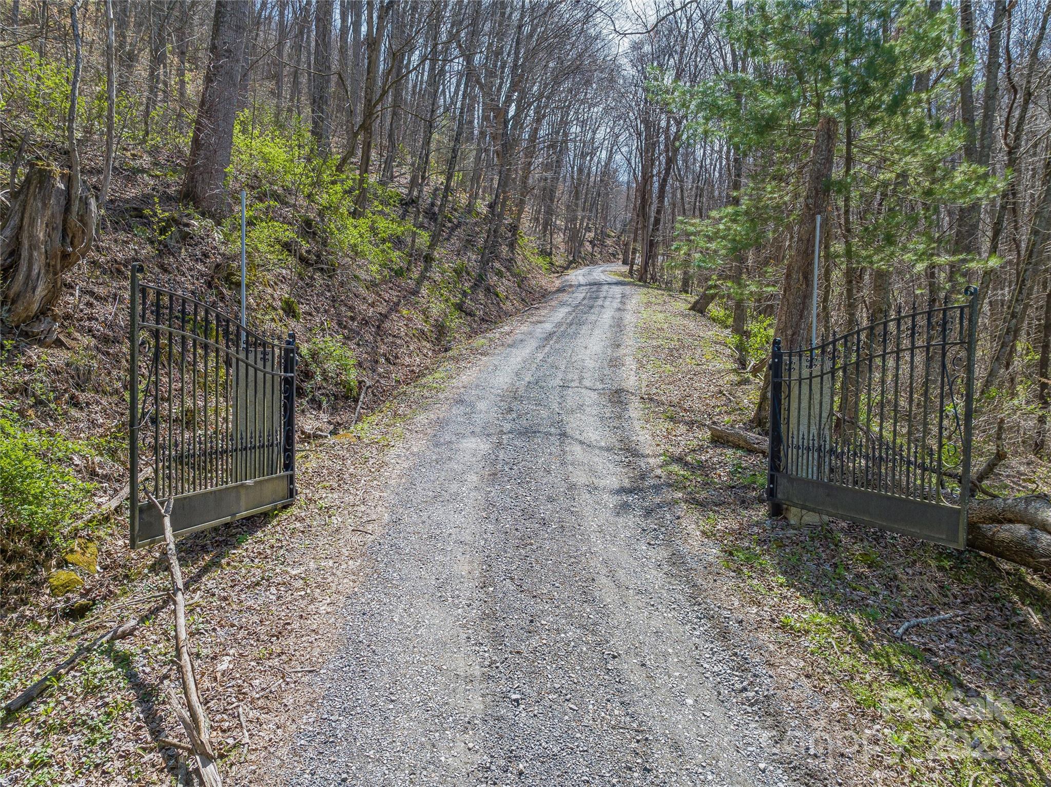 999 Cracker Trail Clyde, NC 28721 - Photo 21 of 23 a view of a yard with plants and tree