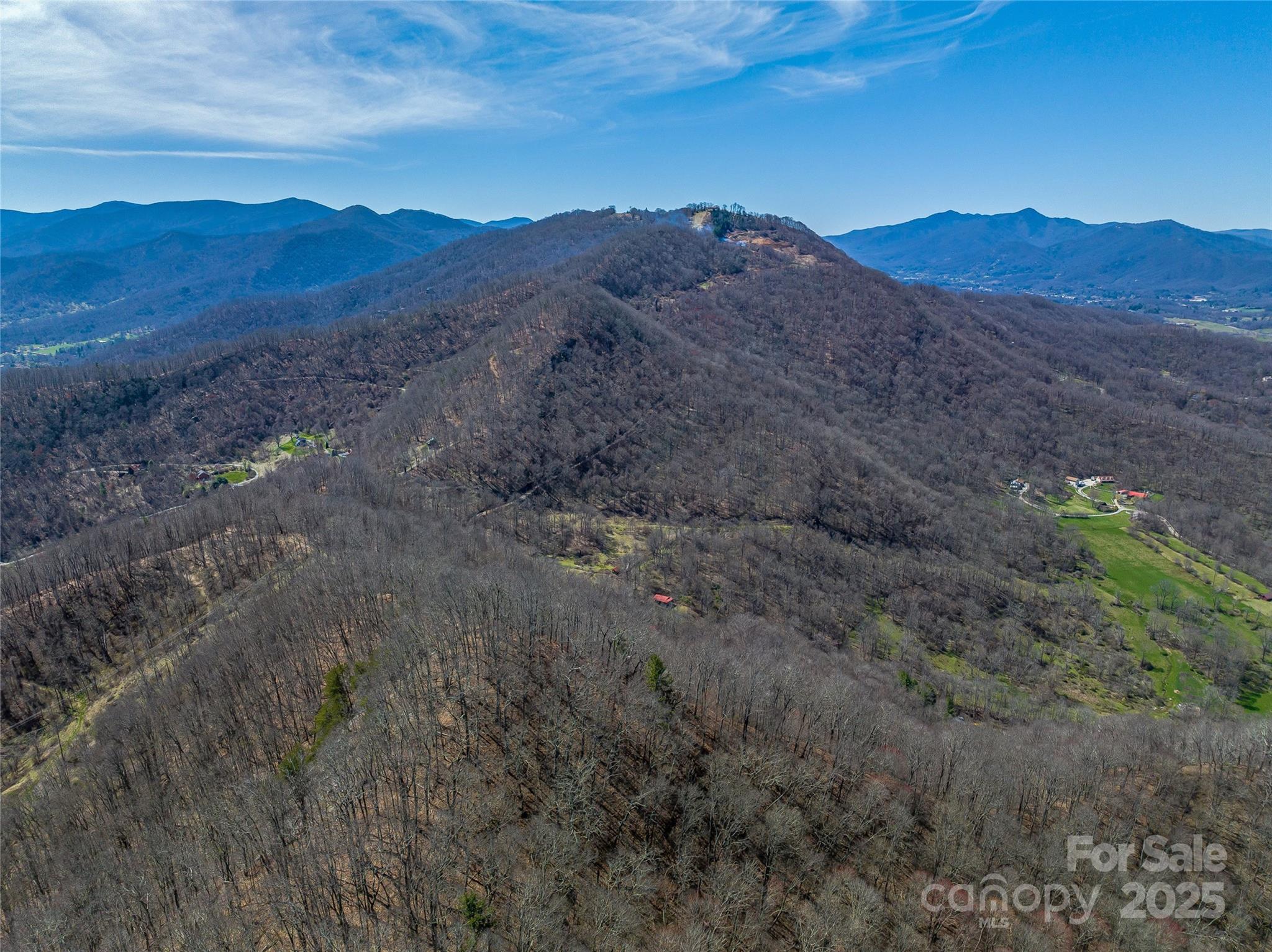 999 Cracker Trail Clyde, NC 28721 - Photo 3 of 23 a view of a mountain range with trees in the background
