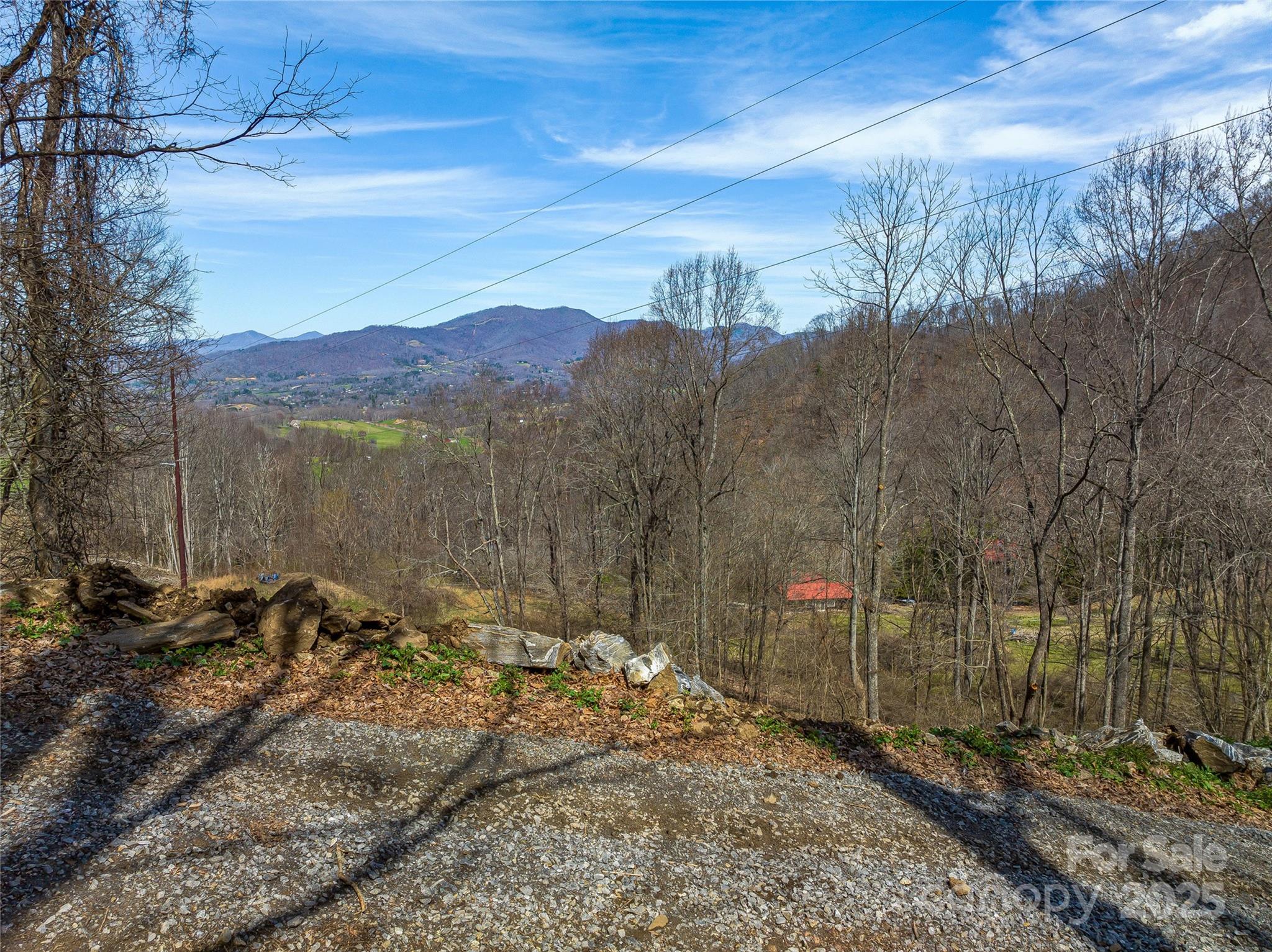 999 Cracker Trail Clyde, NC 28721 - Photo 4 of 23 a view of a forest with a mountain