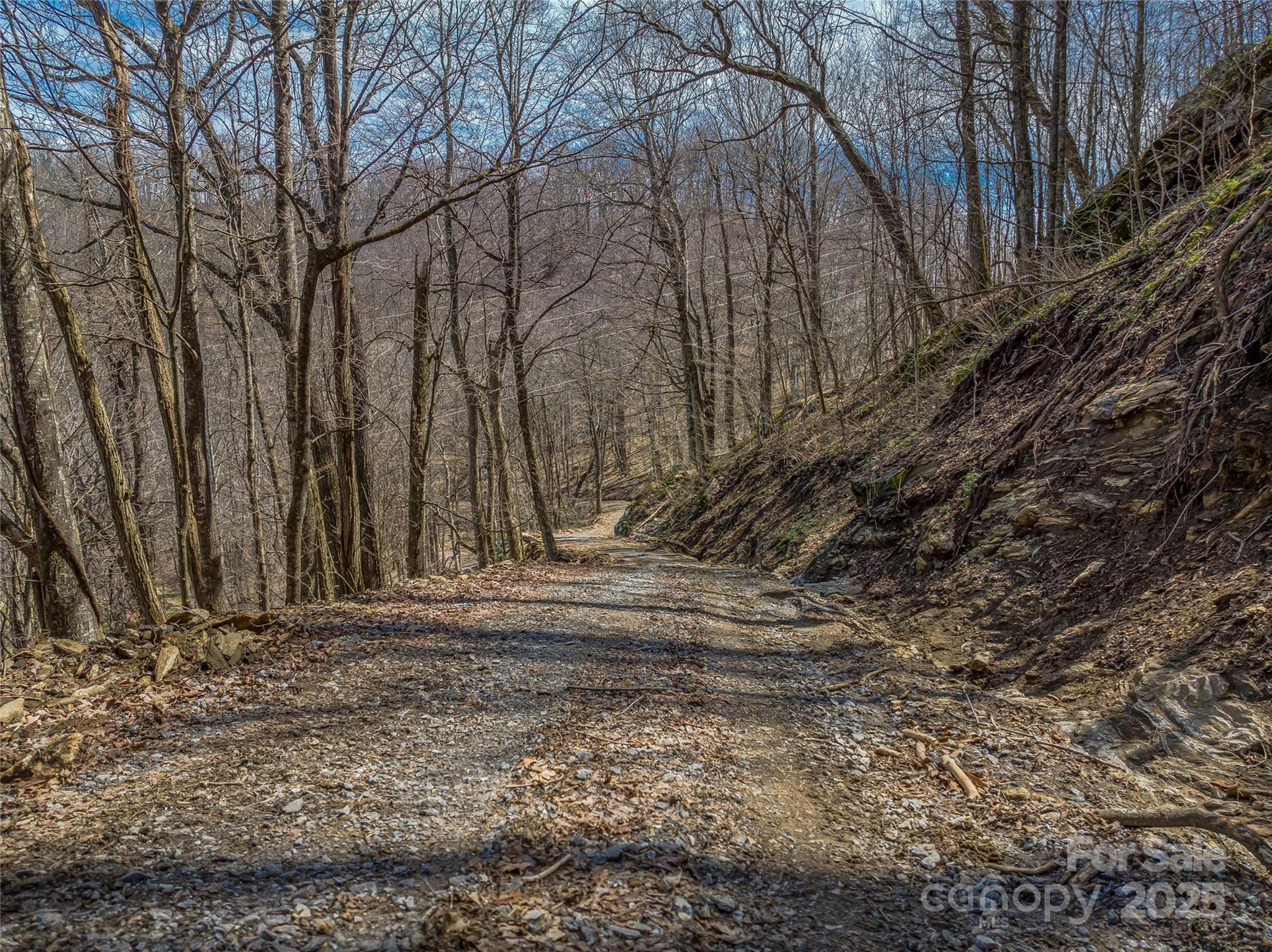 999 Cracker Trail Clyde, NC 28721 - Photo 5 of 23 a view of backyard space with wooden fence