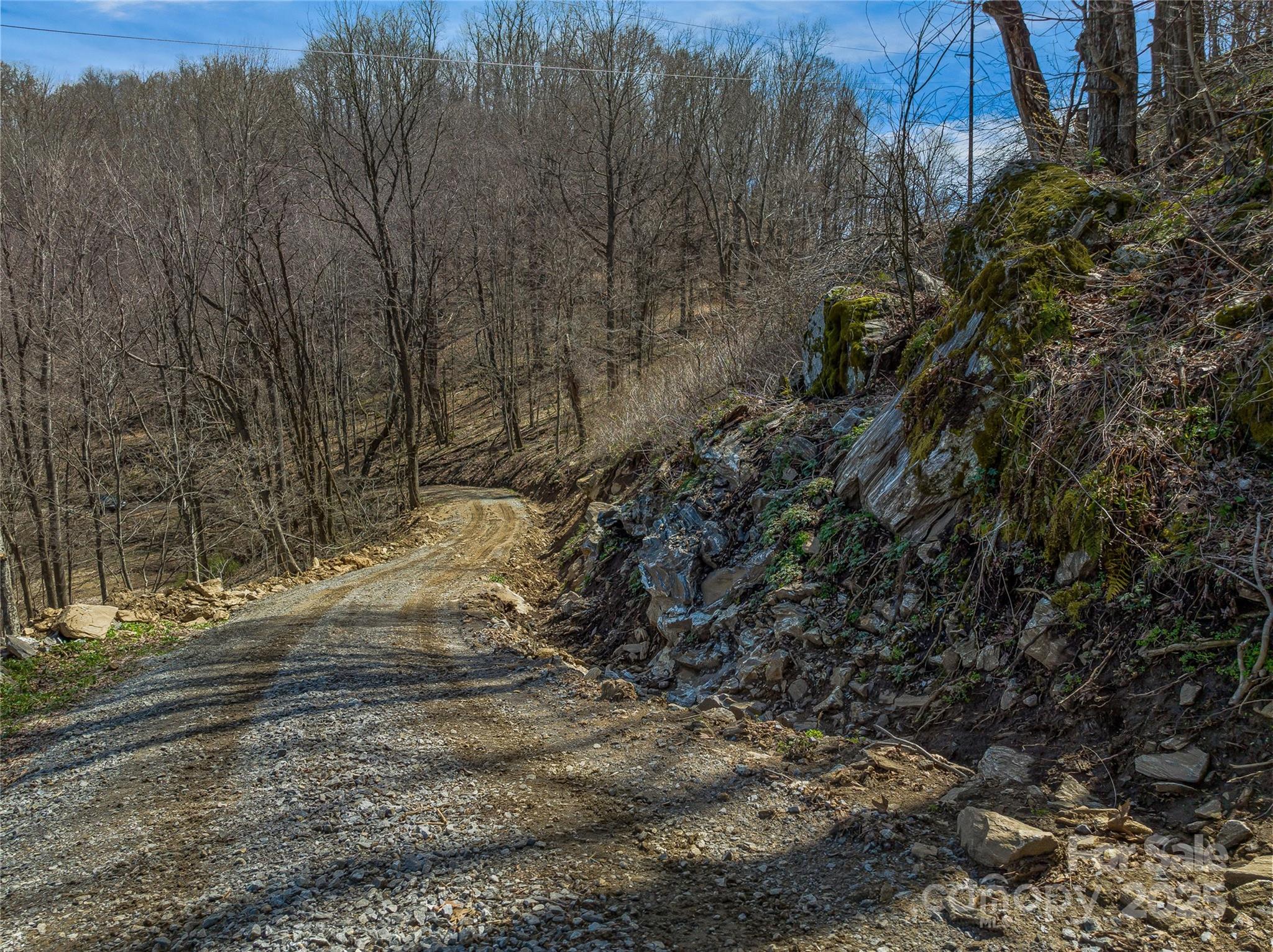 999 Cracker Trail Clyde, NC 28721 - Photo 6 of 23 a view of a yard with trees