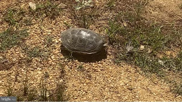 $450,000 | 15363 Holly Drive, Scotland, MD 20687