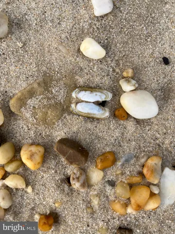 $450,000 | 15363 Holly Drive, Scotland, MD 20687