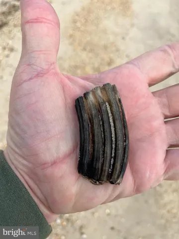 $450,000 | 15363 Holly Drive, Scotland, MD 20687