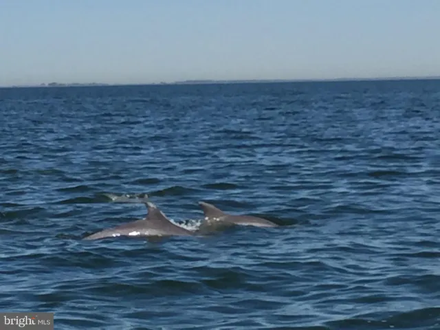 $450,000 | 15363 Holly Drive, Scotland, MD 20687