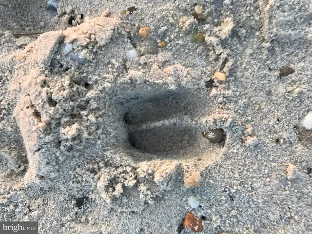 $450,000 | 15363 Holly Drive, Scotland, MD 20687