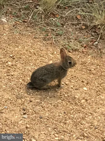 $450,000 | 15363 Holly Drive, Scotland, MD 20687