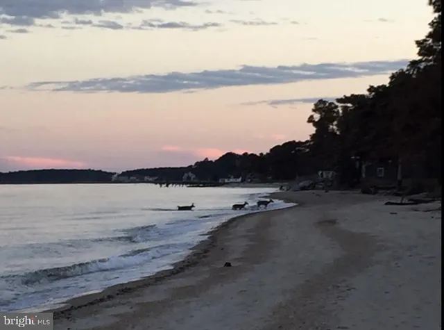 $450,000 | 15363 Holly Drive, Scotland, MD 20687