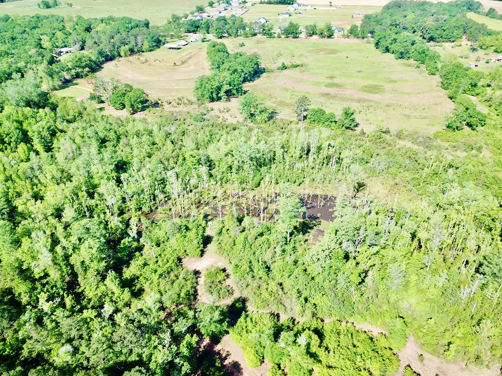65-acres County Line Road Dothan, AL 36305 - Photo 17 of 37