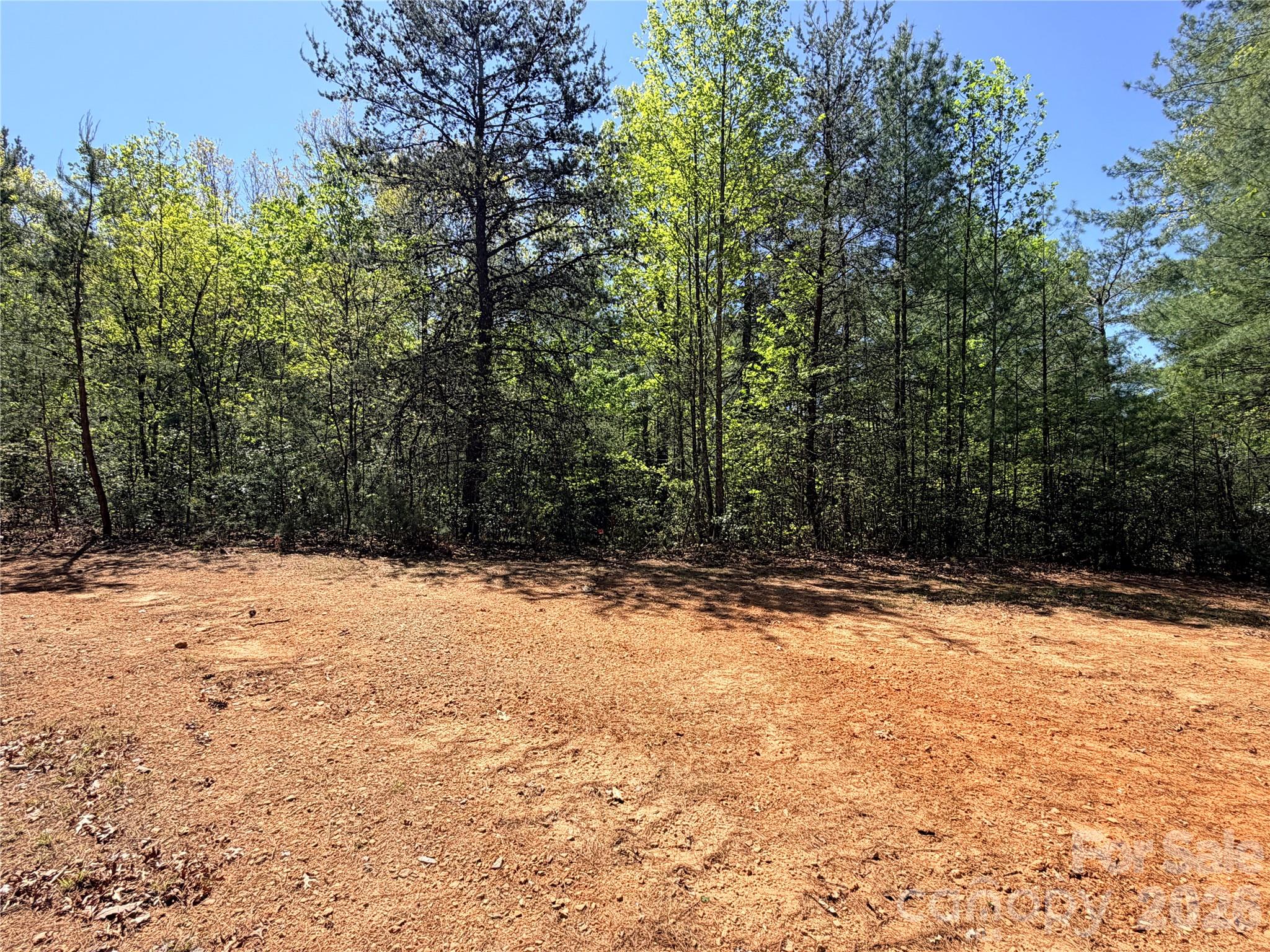 Tbd Staghorn Road, Unit 160 & 161 Purlear, NC 28665 - Photo 4 of 46 Gallery Image 4