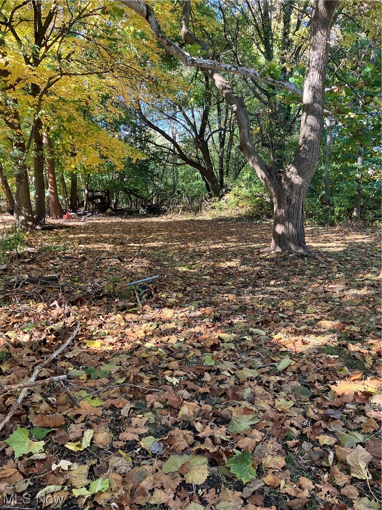 772 Lakeview Road Cleveland, OH 44108 - Photo 30 of 31 Large private lot