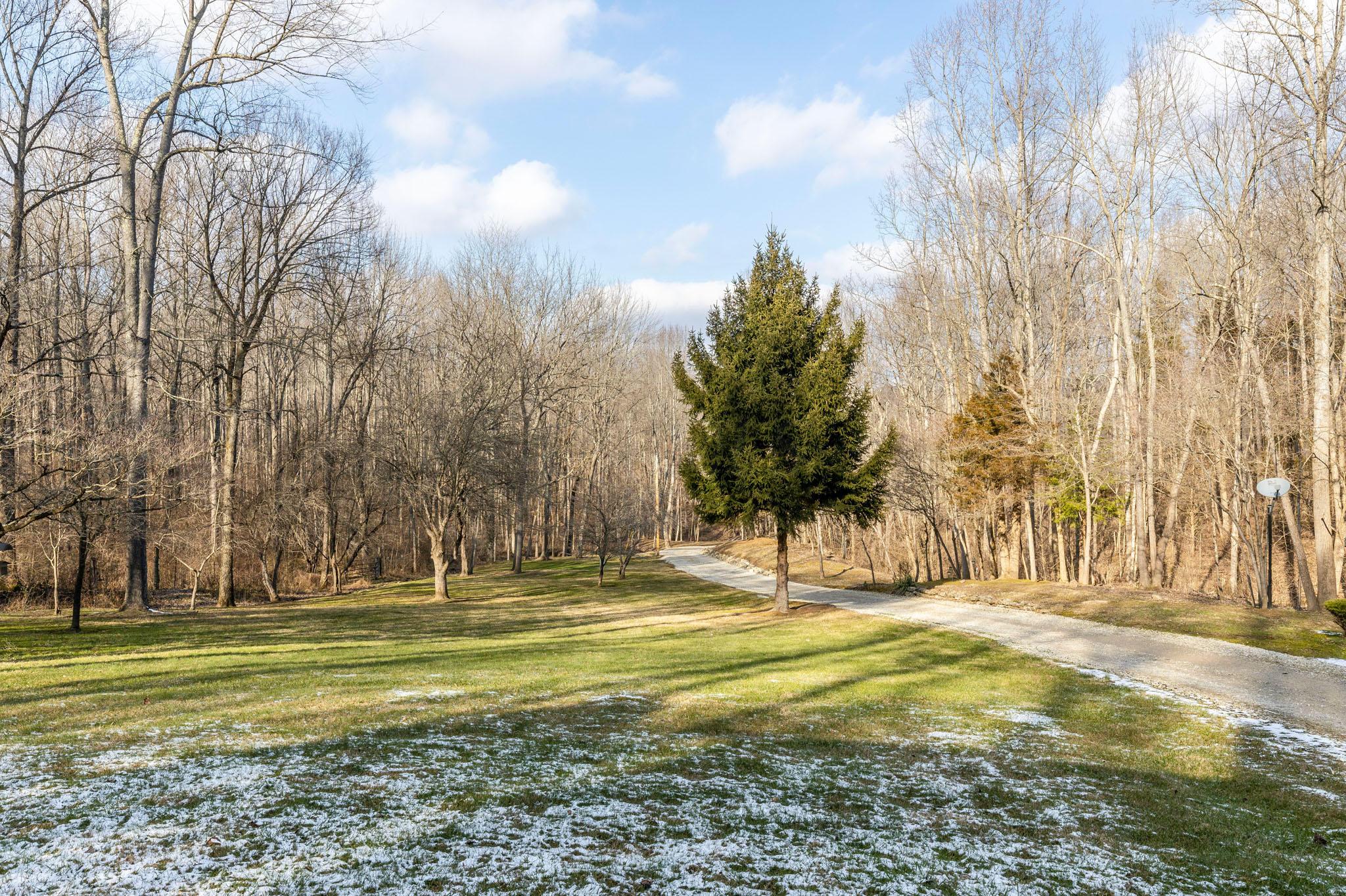 1077 Massie Run Road Bainbridge, OH 45612 - Photo 44 of 55