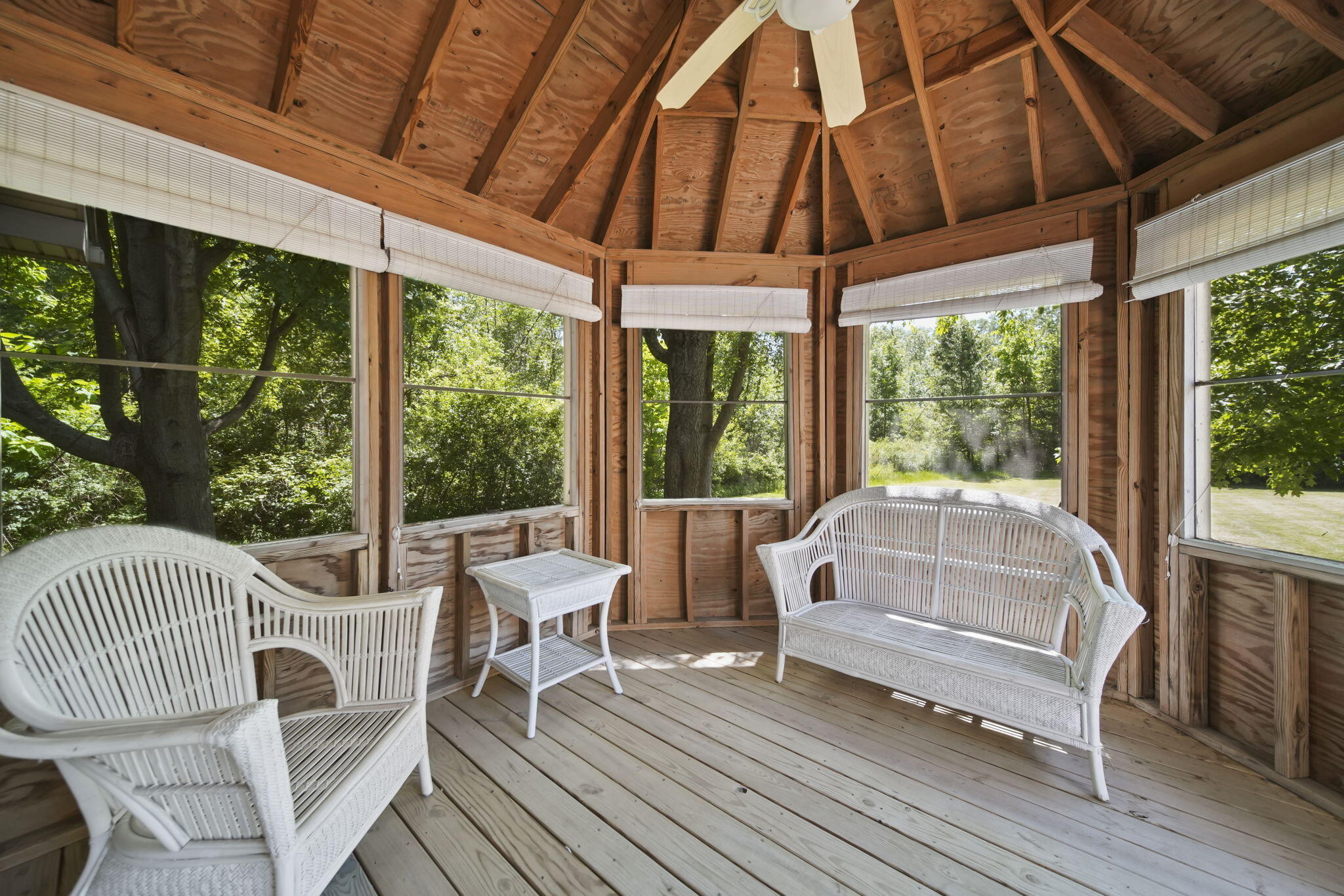 9979 Summerfield Road Temperance, MI 48182 - Photo 35 of 47 39-web-or-mls-DSC09242