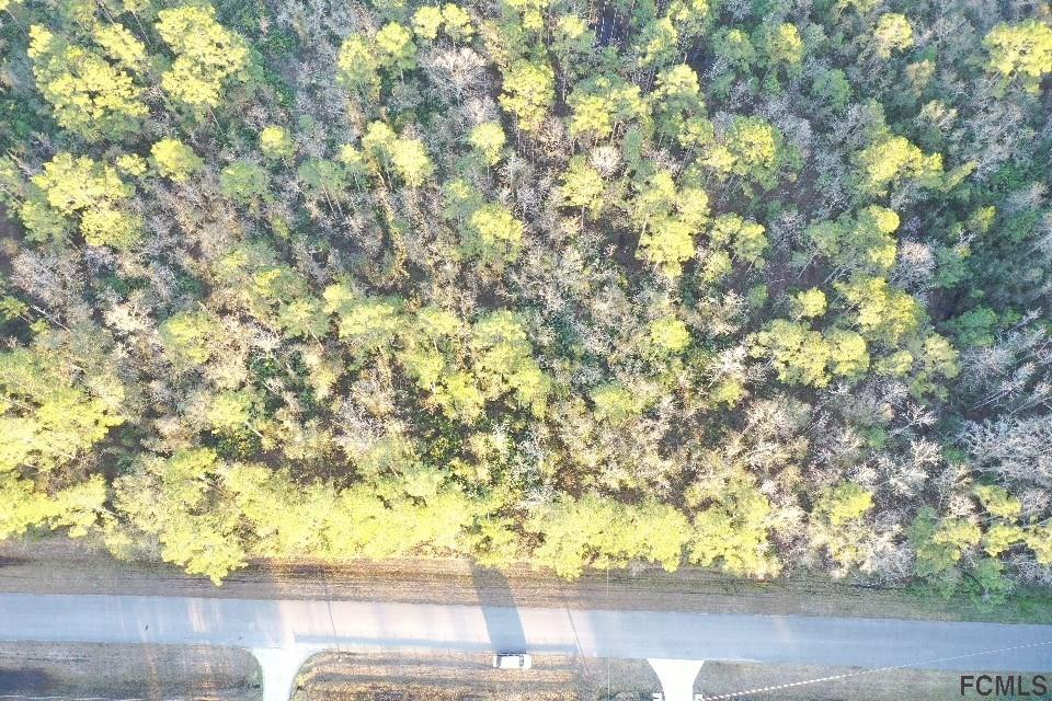 150 Jondabob Road Green Cove Springs, FL 32043 - Photo 6 of 12 a view of under tree