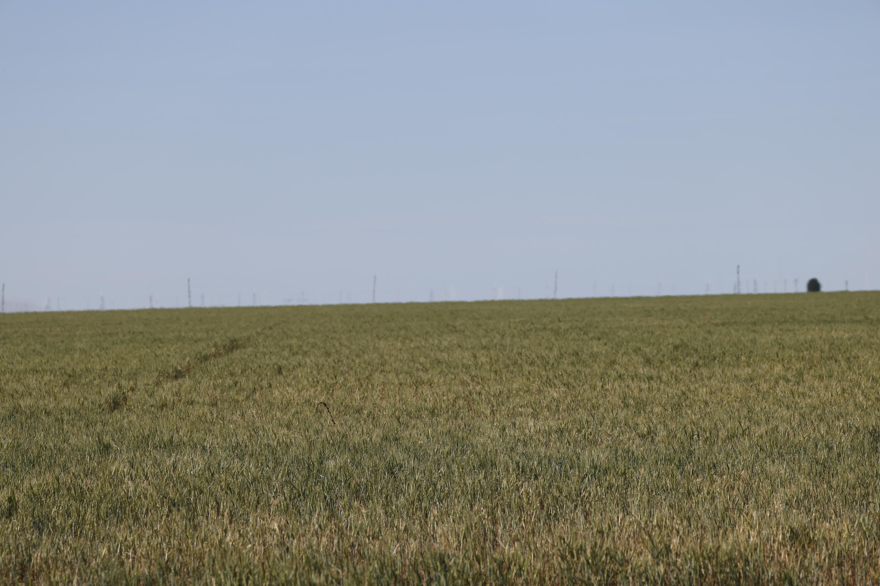 3045 Ranch Road Perryton, TX 79070 - Photo 2 of 12 AF2A0306