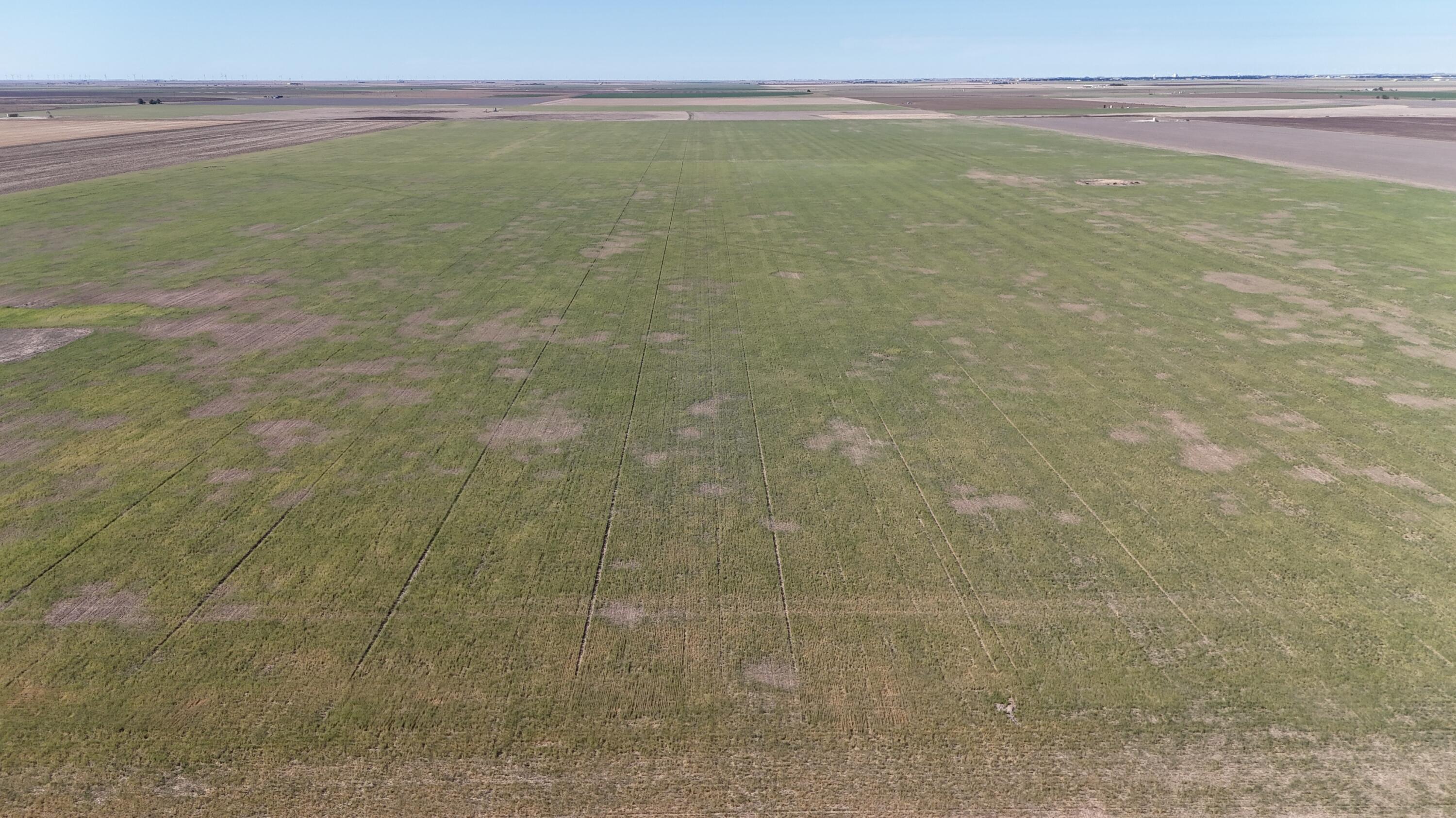 3045 Ranch Road Perryton, TX 79070 - Photo 5 of 12 dji_fly_20260429_170214_0036_17775012565