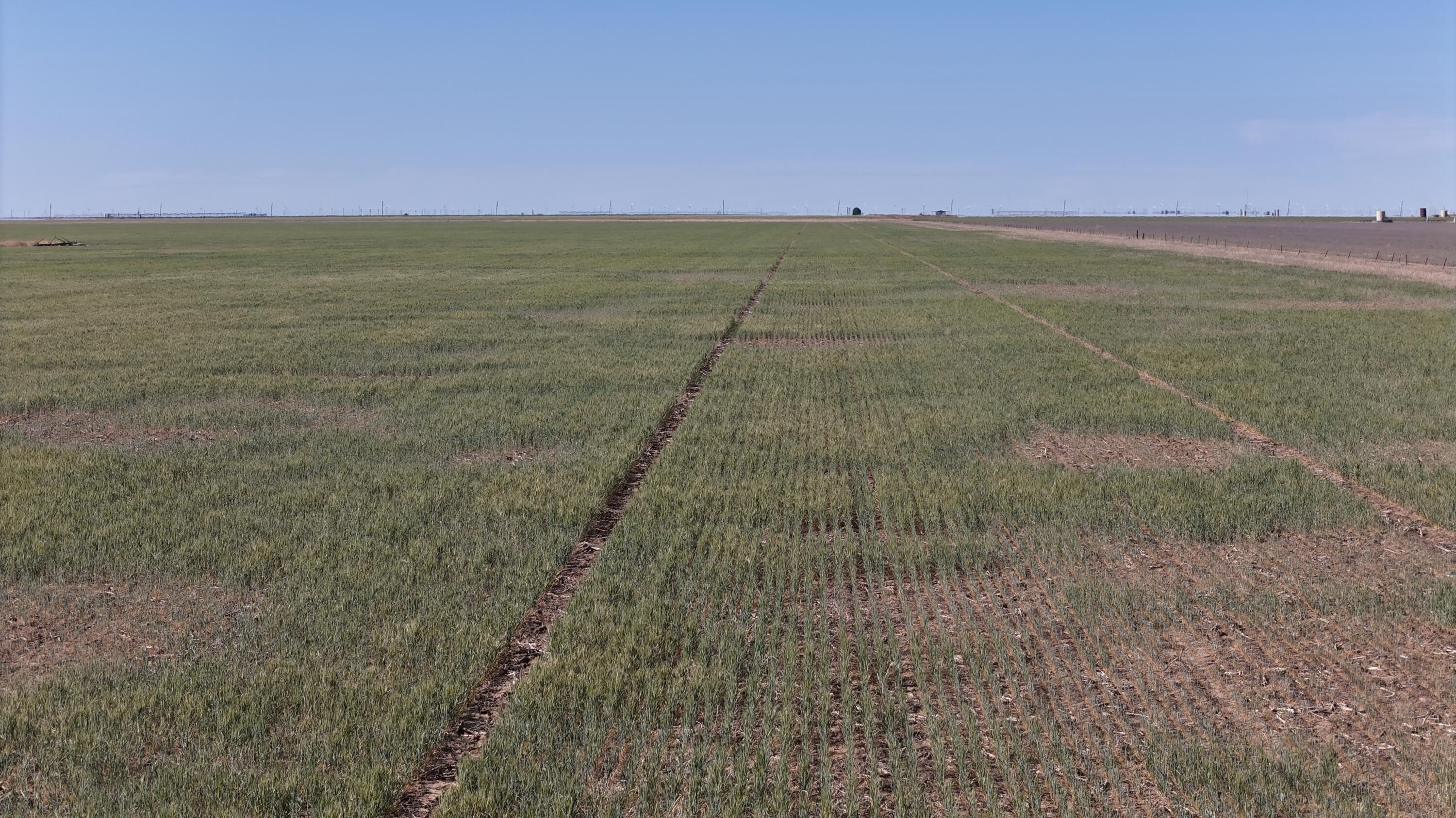 3045 Ranch Road Perryton, TX 79070 - Photo 8 of 12 dji_fly_20260429_170438_0040_17775012555