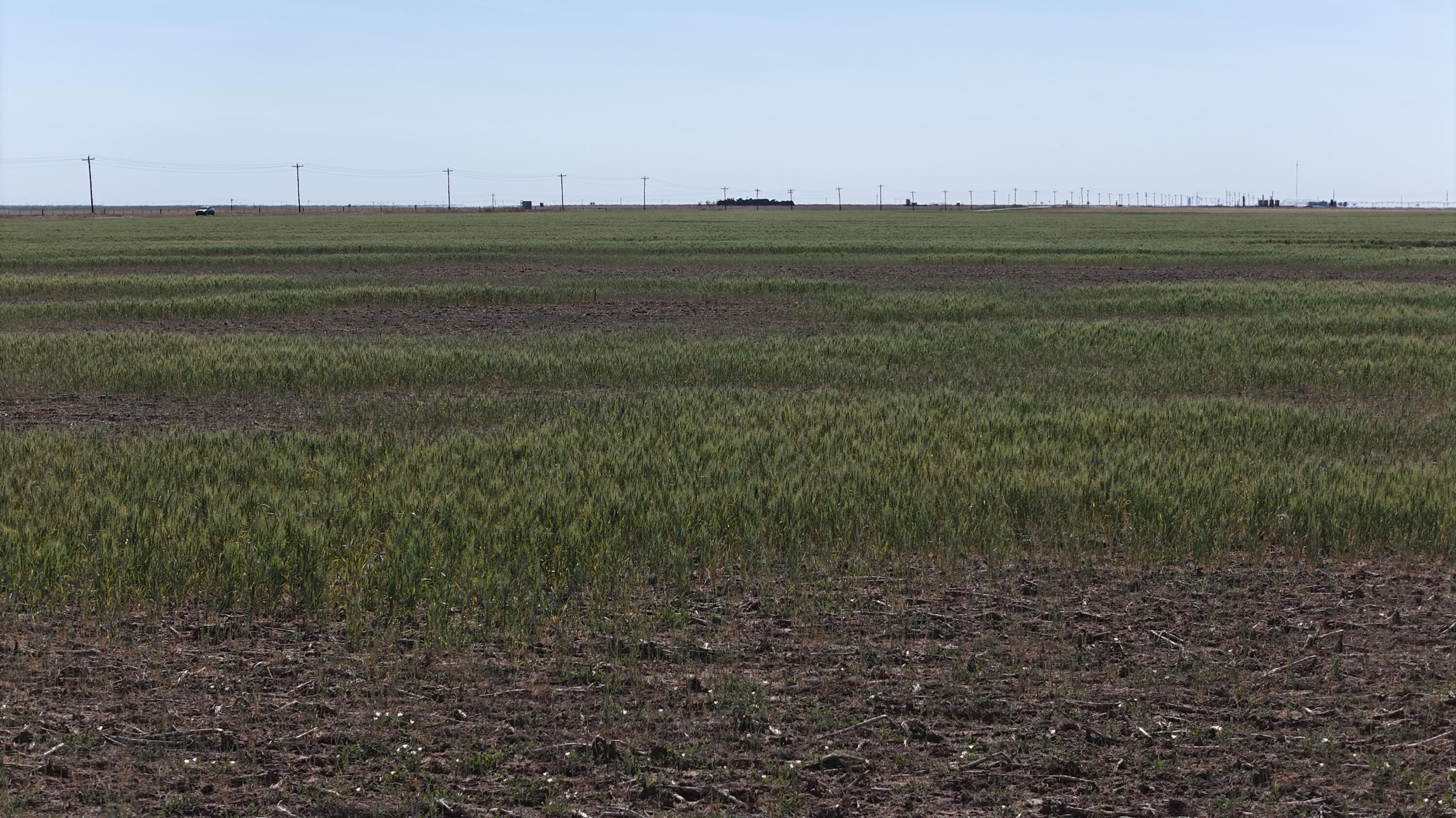 3045 Ranch Road Perryton, TX 79070 - Photo 9 of 12 dji_fly_20260429_170446_0041_17775012552