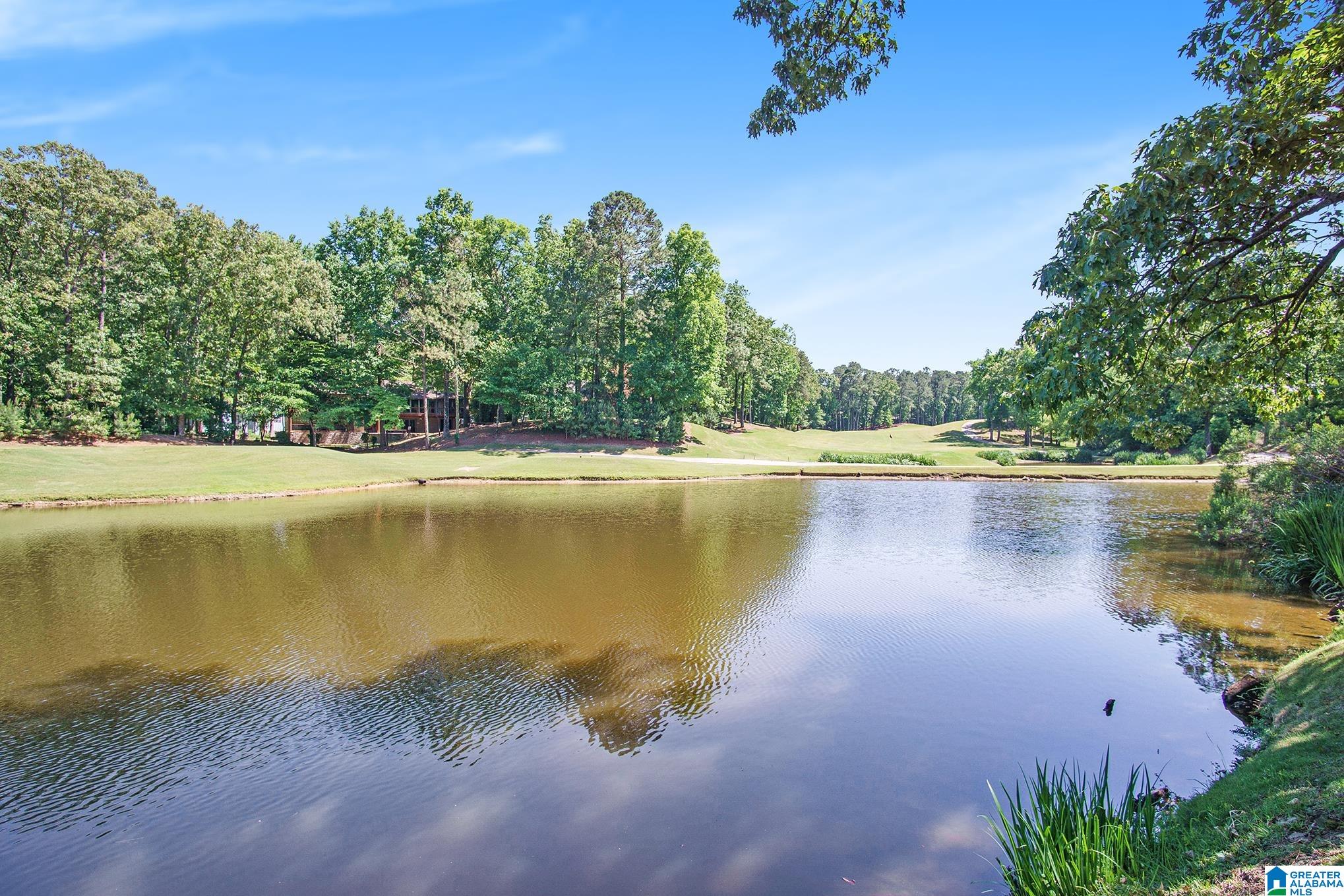 147 Cambrian Way Birmingham, AL 35242 - Photo 8 of 24