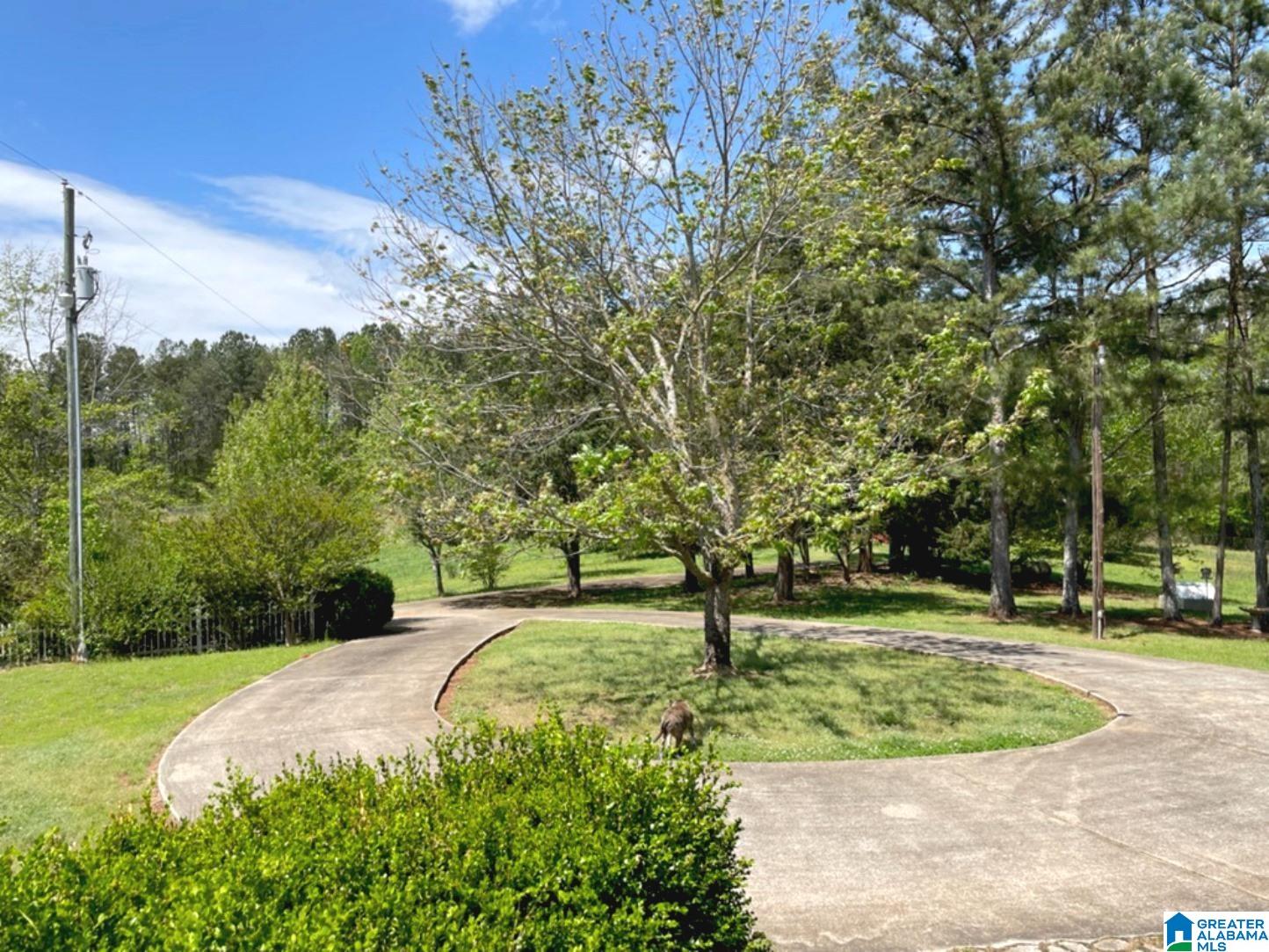 2509 Lees Bridge Road Delta, AL 36258 - Photo 28 of 45