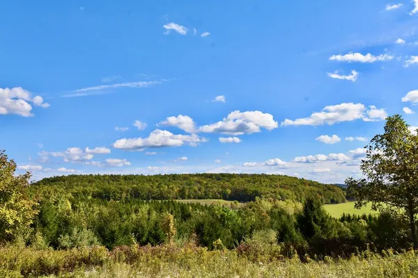 $45,000 | 1980 County Rt 81, Addison, NY 14801