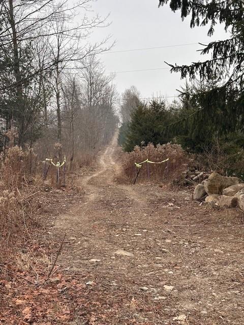 1980 County Rt 81 Addison, NY 14801 - Photo 11 of 11