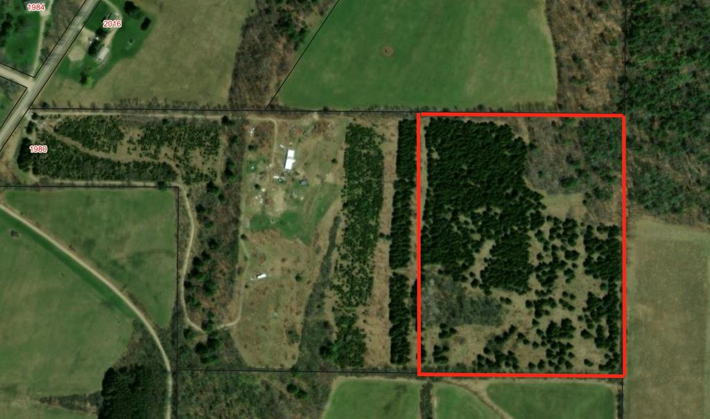 1980 County Rt 81 Addison, NY 14801 - Photo 2 of 11