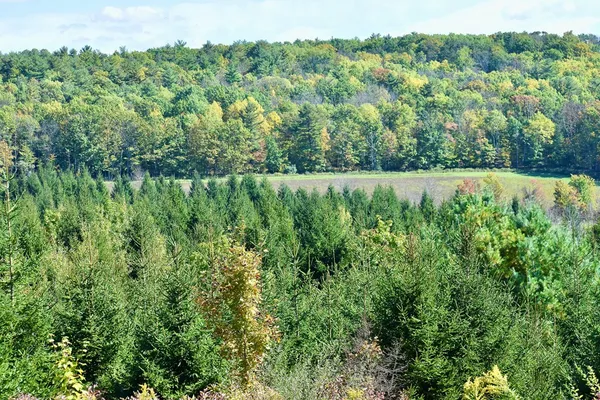 $45,000 | 1980 County Rt 81, Addison, NY 14801