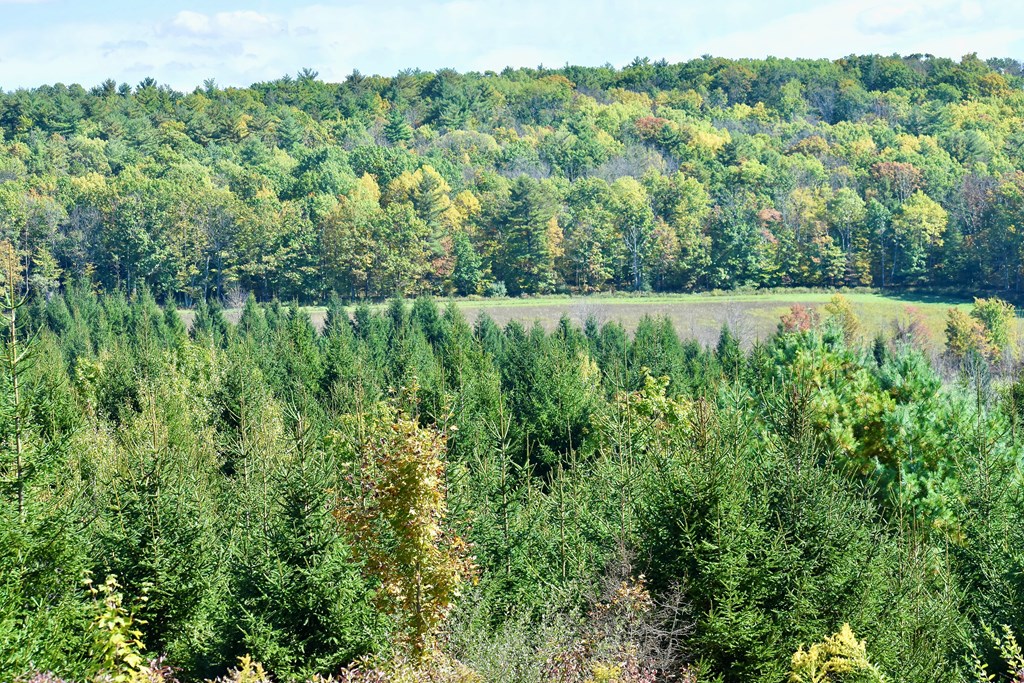 1980 County Rt 81 Addison, NY 14801 - Photo 3 of 11