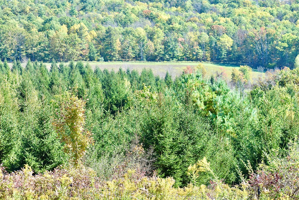 1980 County Rt 81 Addison, NY 14801 - Photo 4 of 11