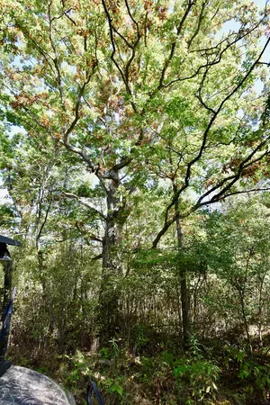 $45,000 | 1980 County Rt 81, Addison, NY 14801