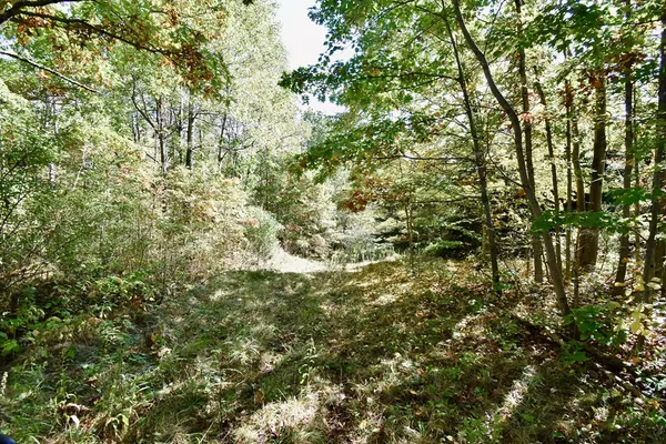 $45,000 | 1980 County Rt 81, Addison, NY 14801