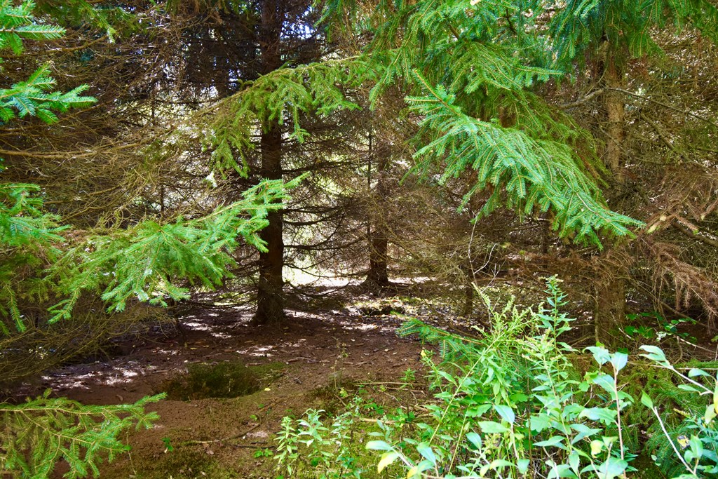 1980 County Rt 81 Addison, NY 14801 - Photo 7 of 11