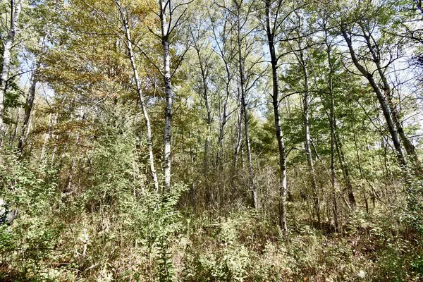 $45,000 | 1980 County Rt 81, Addison, NY 14801