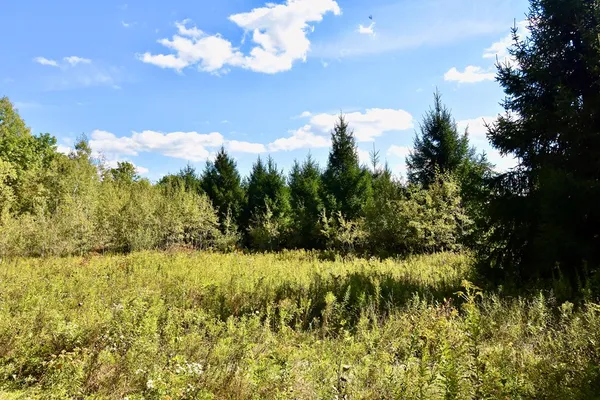 $45,000 | 1980 County Rt 81, Addison, NY 14801