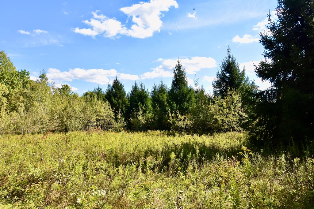 1980 County Rt 81 Addison, NY 14801 - Photo 9 of 11