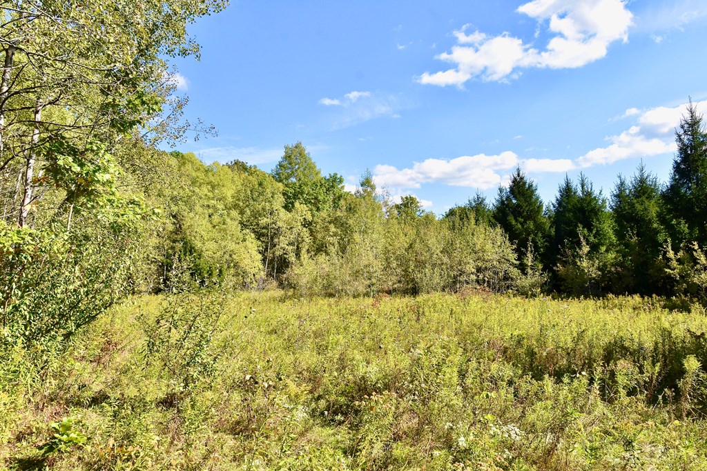 1980 County Rt 81 Addison, NY 14801 - Photo 10 of 11