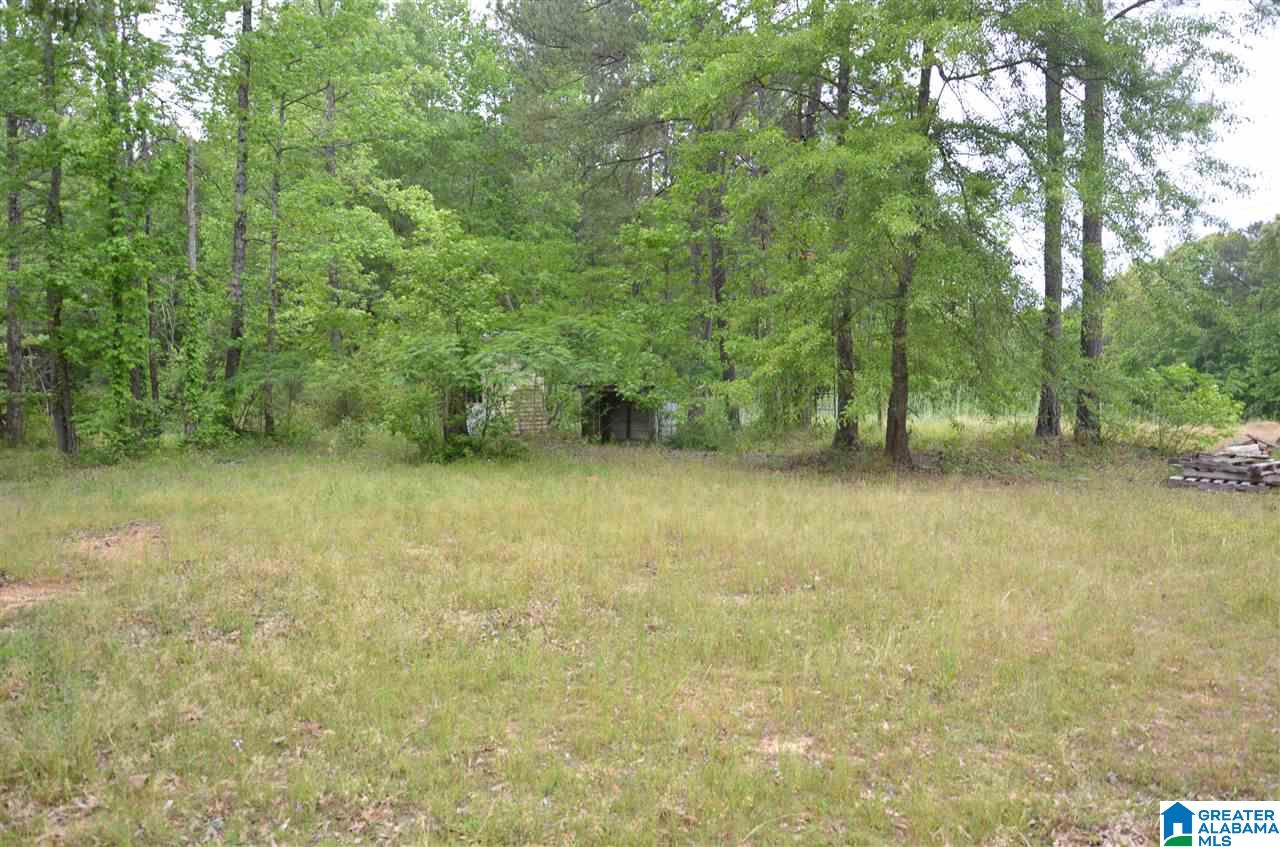 5081 Bluff Creek Ridge Adamsville, AL 35005 - Photo 8 of 28