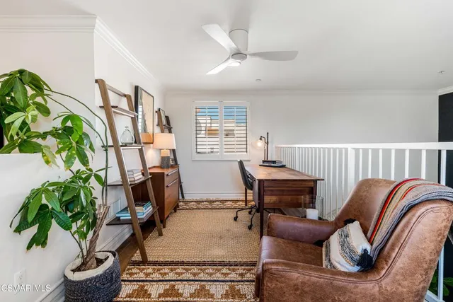 a living room with furniture flowerpot and a potted plant