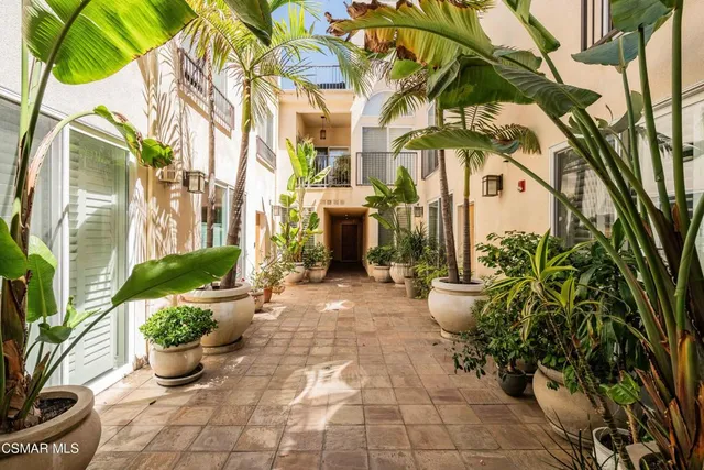 a view of a path along with potted plants