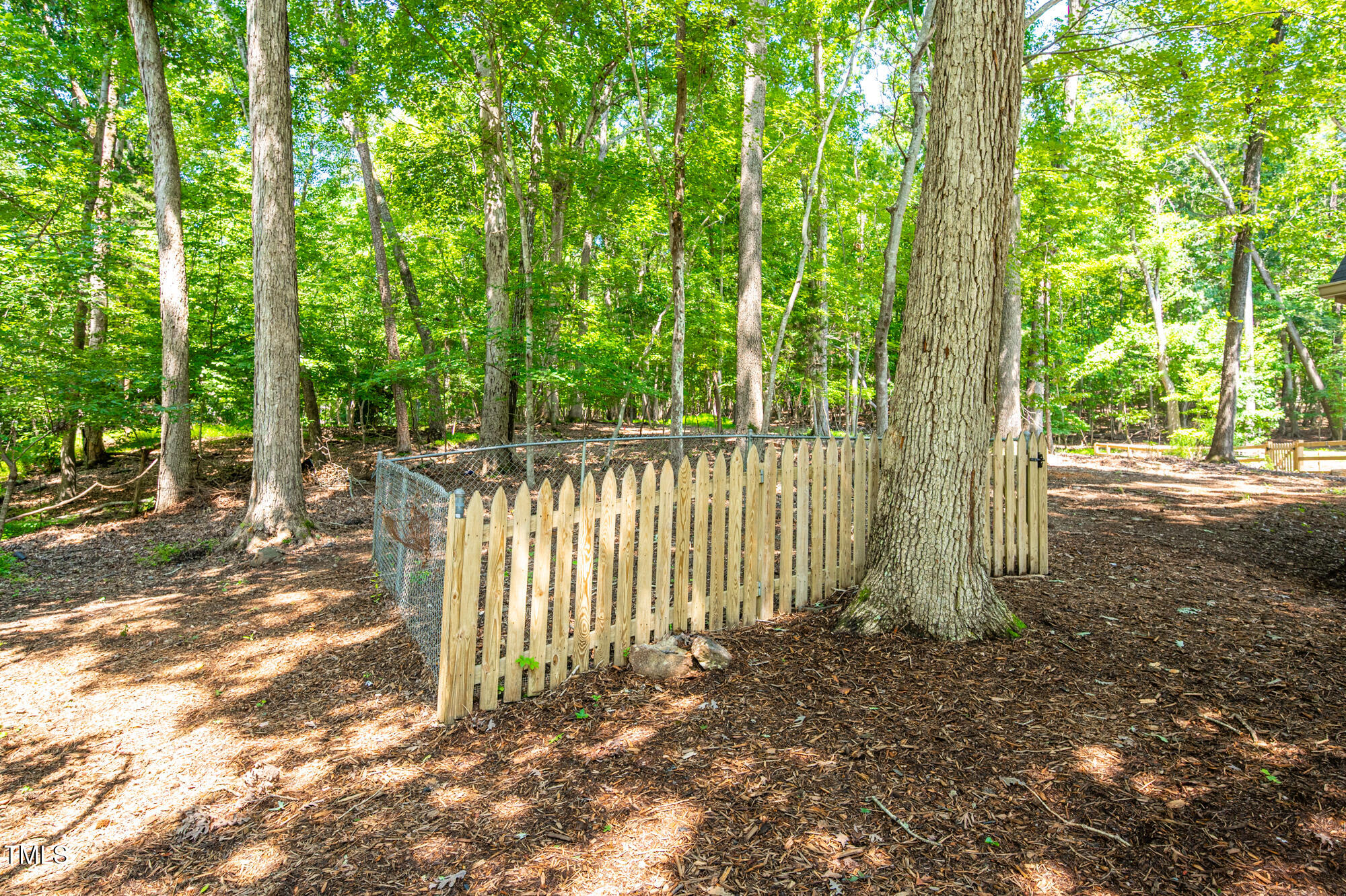 5611 Red Coach Road Durham, NC 27712 - Photo 43 of 51 a view of a yard with large trees