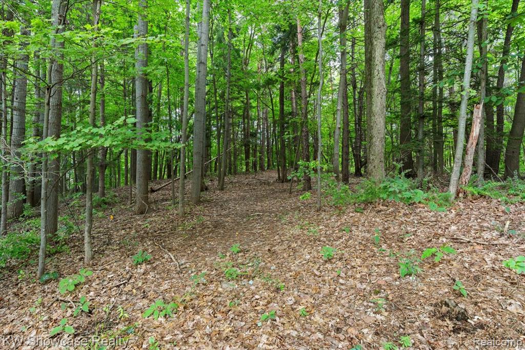 7950 Clement Road Clarkston, MI 48346 - Photo 29 of 44