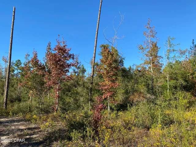 $62,500 | 7939 John Pitts Road, Panama City, FL 32404