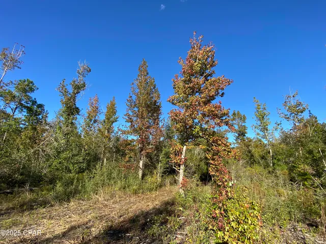 $62,500 | 7939 John Pitts Road, Panama City, FL 32404