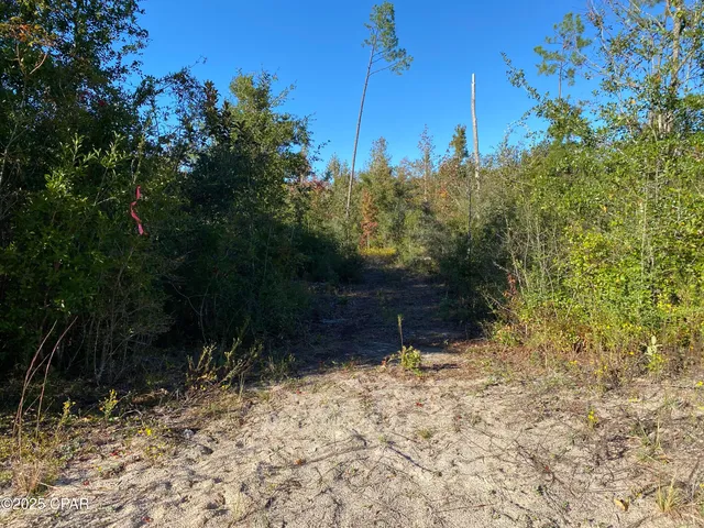 $62,500 | 7939 John Pitts Road, Panama City, FL 32404