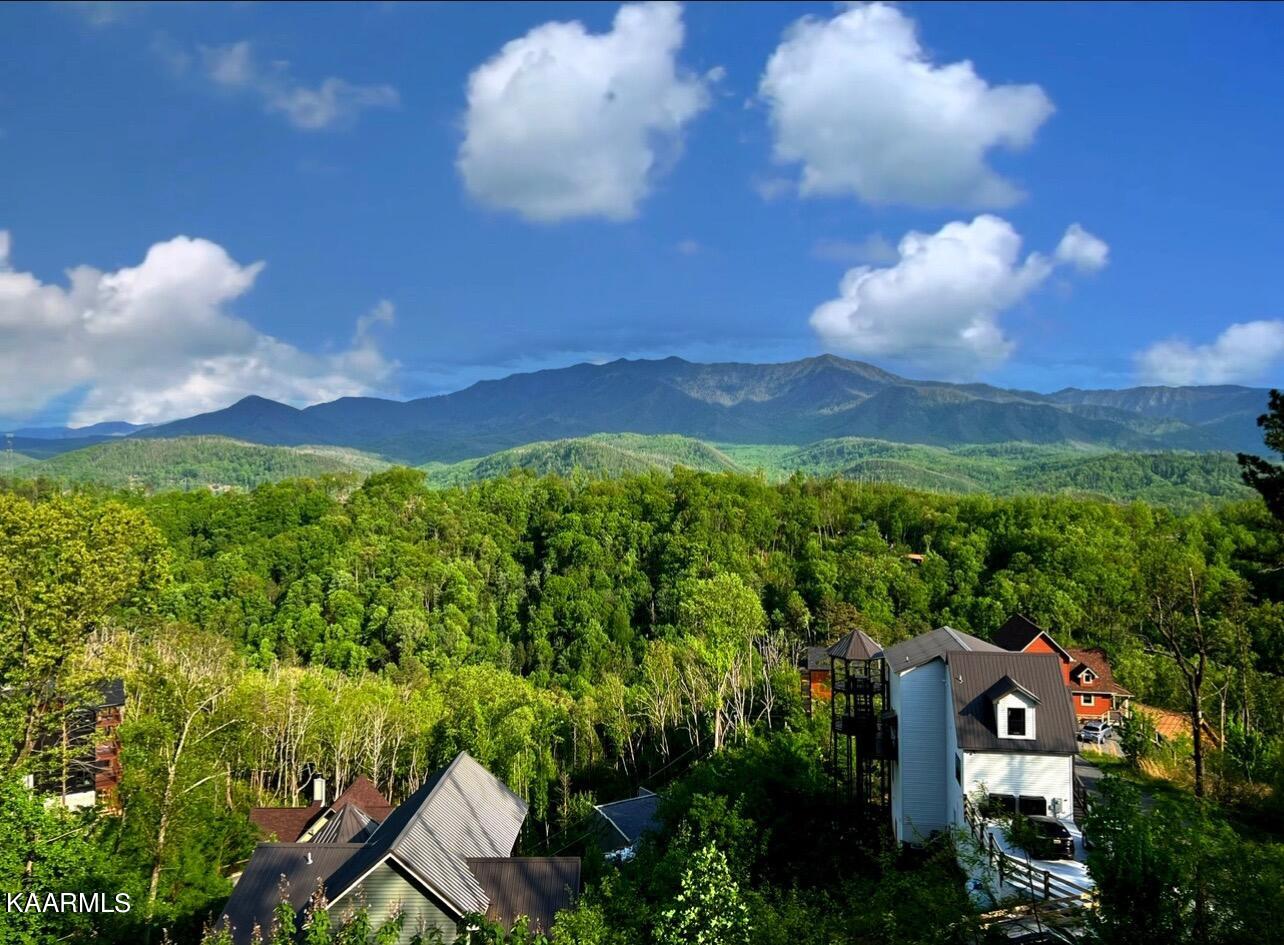 743 Cliff Branch Road Gatlinburg, TN 37738 - Photo 47 of 50 IMG_5417