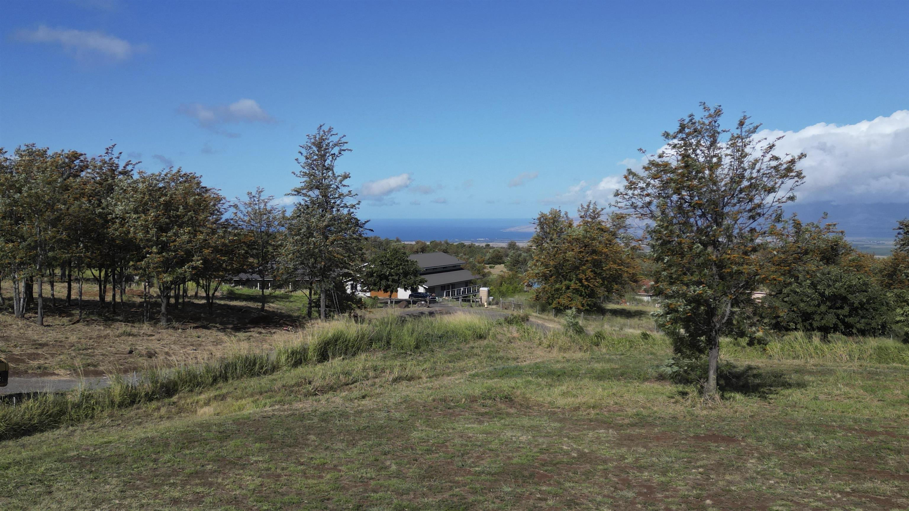 11 Huliamahi Place, Unit B Makawao, HI 96768 - Photo 7 of 12