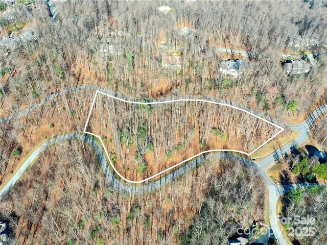 a white and black white and black trees