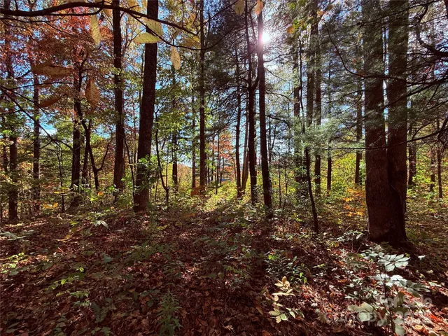 a view of mountain view with lots of tree
